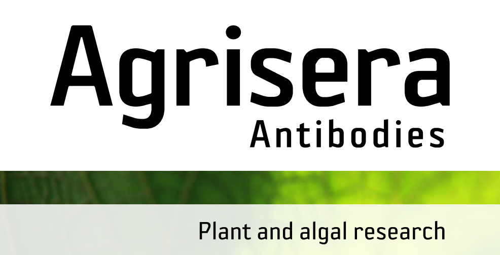 Agrisera MicroRNA相關(guān)研究植物蛋白抗體火熱促銷中！